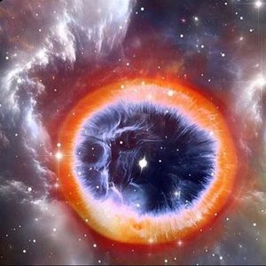 Meet your Posher, Dono🧸💜’